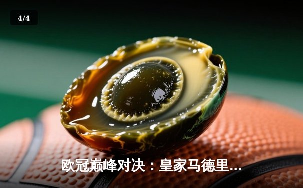 欧冠巅峰对决：皇家马德里3-1力克多特蒙德 维尼修斯双响锁定第15座圣勃莱德杯 - 4